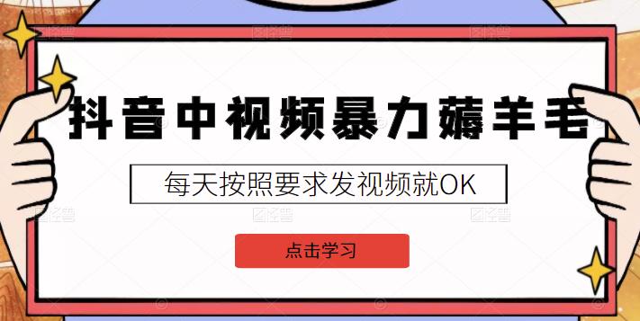 2022抖音中视频暴力薅羊毛白嫖项目：新号每天20块，老号几天几百块，可多号￼-搞个副业