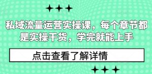 私域流量运营实操课，每个章节都是实操干货，学完就能上手-搞个副业