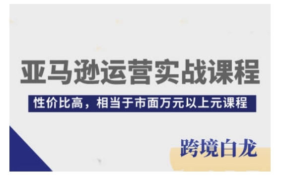 亚马逊运营实战课程，亚马逊从入门到精通，性价比高，相当于市面万元以上元课程-搞个副业