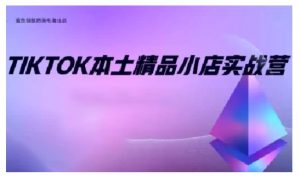 TikTok本土精品小店出海实战营，从入门到高阶，不止0-1!-搞个副业