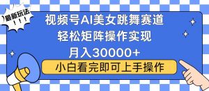 视频号蓝海赛道玩法，当天起号，拉爆流量收益，小白也能轻松月入30000+-搞个副业