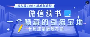 微信读书，一个隐藏的引流宝地，不为人知的小众打法，日引流300+精准创业粉，长尾流量源源不断-搞个副业