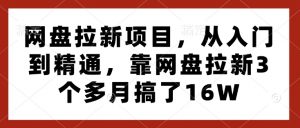 网盘拉新项目，从入门到精通，靠网盘拉新3个多月搞了16W-搞个副业