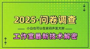 2025问卷调查最新工作室技术解密：一个人在家也可以闷声发大财，小白一天2张，可矩阵放大【揭秘】-搞个副业