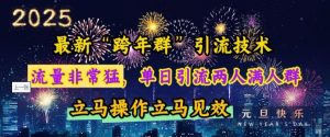 最新“跨年群”引流，流量非常猛，单日引流两人满人群，立马操作立马见效【揭秘】-搞个副业