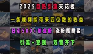 2025自热引流天花板，一条视频能带来四位数的收益，引流+变现双管齐下，日引500+创业粉，涨粉嘎嘎猛-搞个副业
