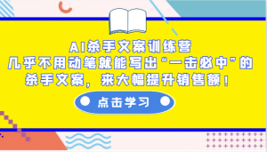 AI杀手文案训练营：几乎不用动笔就能写出“一击必中”的杀手文案，来大幅提升销售额！-搞个副业
