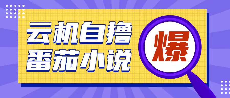 首发云手机自撸小说玩法，10块钱成本可撸200+收益操作简单【揭秘】-搞个副业