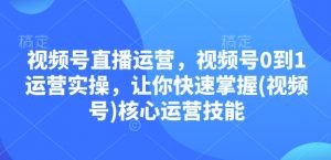视频号直播运营，视频号0到1运营实操，让你快速掌握(视频号)核心运营技能-搞个副业