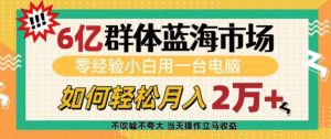 6亿群体蓝海市场，零经验小白用一台电脑，如何轻松月入过w【揭秘】-搞个副业