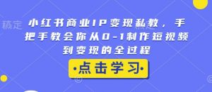小红书商业IP变现私教，手把手教会你从0-1制作短视频到变现的全过程-搞个副业