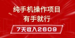 纯手机操作的小项目，有手就能做，7天收入2609+实操教程【揭秘】-搞个副业