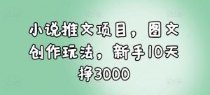 小说推文项目，图文创作玩法，新手10天挣3000-搞个副业