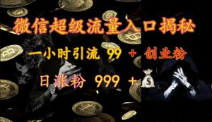 微信超级流量入口揭秘：一小时引流 99 + 创业粉，日涨粉 999 +-搞个副业