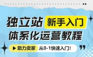 独立站新手入门体系化运营教程，助力独立站卖家从0-1快速入门!-搞个副业