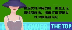 顶流女性IP实战班，流量上亿情绪引爆法，深度打磨顶流女性IP硬核基本功-搞个副业