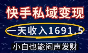 一天收入1691.5，快手私域变现，小白也能闷声发财-搞个副业
