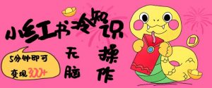 小红书冷知识账号，无脑复制粘贴，5分钟即可变现3张-搞个副业