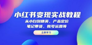 小红书变现实战教程：从小白到精英，产品定价，笔记带货，账号运营等-搞个副业