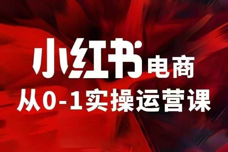 小红书电商运营，97节小红书vip内部课，带你实现小红书赚钱-搞个副业