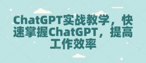 ChatGPT实战教学，快速掌握ChatGPT，提高工作效率-搞个副业