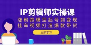 IP剪辑师实操课：涨粉跑模型起号到变现，挂车视频打造爆款带货-搞个副业