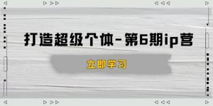 打造 超级个体-第6期ip营：商业认知,产品设计,成交演练,解决知识变现难题-搞个副业