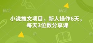 小说推文项目，新人操作6天，每天3位数分享课-搞个副业