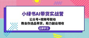 小绿书AI带货实战营：公众号+视频号联动，教会你选品带货，助力副业增收-搞个副业