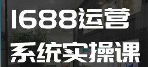 1688高阶运营系统实操课，快速掌握1688店铺运营的核心玩法-搞个副业