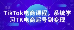 TikTok电商课程，​系统学习TK电商起号到变现-搞个副业