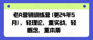 老A营销训练营(更25年1月)，轻理论，重实战，轻概念，重本质-搞个副业