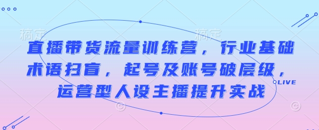 直播带货流量训练营，行业基础术语扫盲，起号及账号破层级，运营型人设主播提升实战-搞个副业