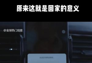 利用春节风口，制作热点视频，多种玩法类型，新手也能轻松变现！-搞个副业