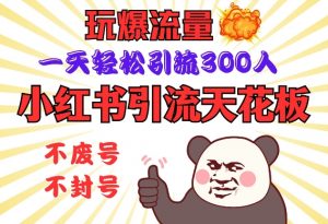 小红书引流天花板，玩爆流量，一天轻松引流300人，安全操作-搞个副业