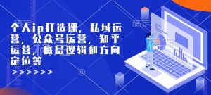 个人ip打造课，私域运营，公众号运营，知乎运营，底层逻辑和方向定位等-搞个副业