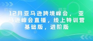 12月亚马逊跨境峰会， 亚马逊峰会直播，线上特训营基础版，进阶版-搞个副业