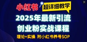 2025年最新小红书引流创业粉实战课程【超详细教学】小白轻松上手，月入1W+，附小红书养号SOP-搞个副业