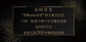 小红书神奇图片引流法，只需一张图，就能单条笔记凭借此方法，轻松引流 300 + 精准创业粉-搞个副业