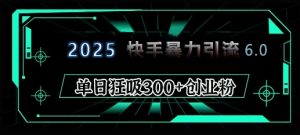 2025年快手6.0保姆级教程震撼来袭，单日狂吸300+精准创业粉-搞个副业