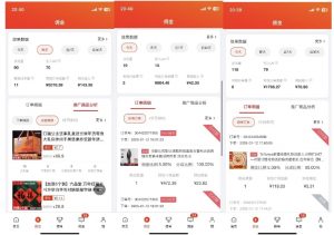 2025最新京东蓝海项目，0 门槛日入 1k+，小白宝妈轻松上手【揭秘】-搞个副业