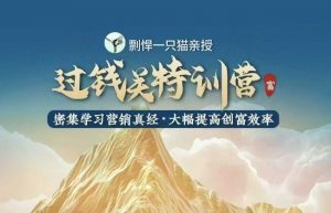 剽悍一只猫-过钱关特训营，学习营销真经 大幅度提高创富效率-搞个副业