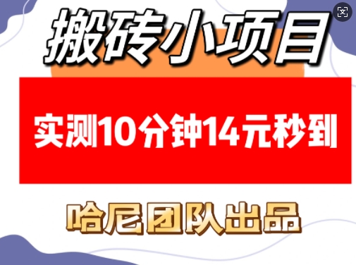 搬砖小项目，实测10分钟14元秒到，每天稳定几张(赠送必看稳定)-搞个副业