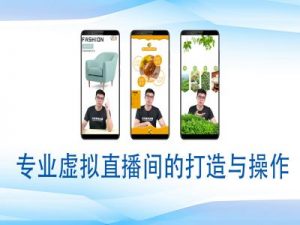 个人虚拟直播间的搭建与操作，专业虚拟直播间的打造与操作-搞个副业
