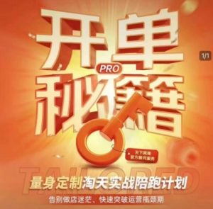 淘宝开单秘籍PRO，量身定制淘天实战陪跑计划，告别做店迷茫、快速突破运营瓶颈期-搞个副业