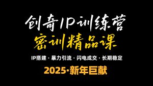 2025年“知识付费IP训练营”小白避坑年赚百万，暴力引流，闪电成交-搞个副业