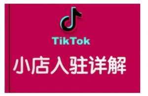 TikTok跨境小店运营全攻略，帮助你独立运营TK跨境小店的能力，实现销量增长-搞个副业
