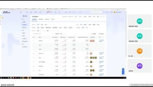 蓝狐电商·抖音商城运营课程(更新2025年1月)-搞个副业