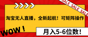 淘宝无人直播，全新起航！可矩阵操作，月入5-6位数！-搞个副业