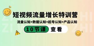 短视频流量增长特训营：流量认知+数据认知+起号认知+产品认知（10节课）-搞个副业